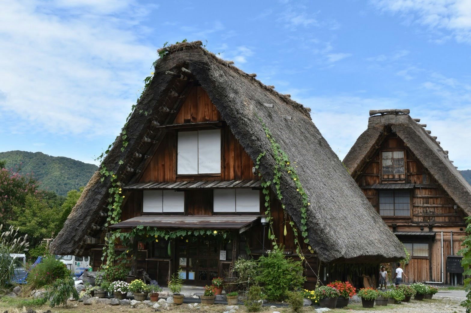 casas tradicionales de techo de paja estilo gassho en un pueblo