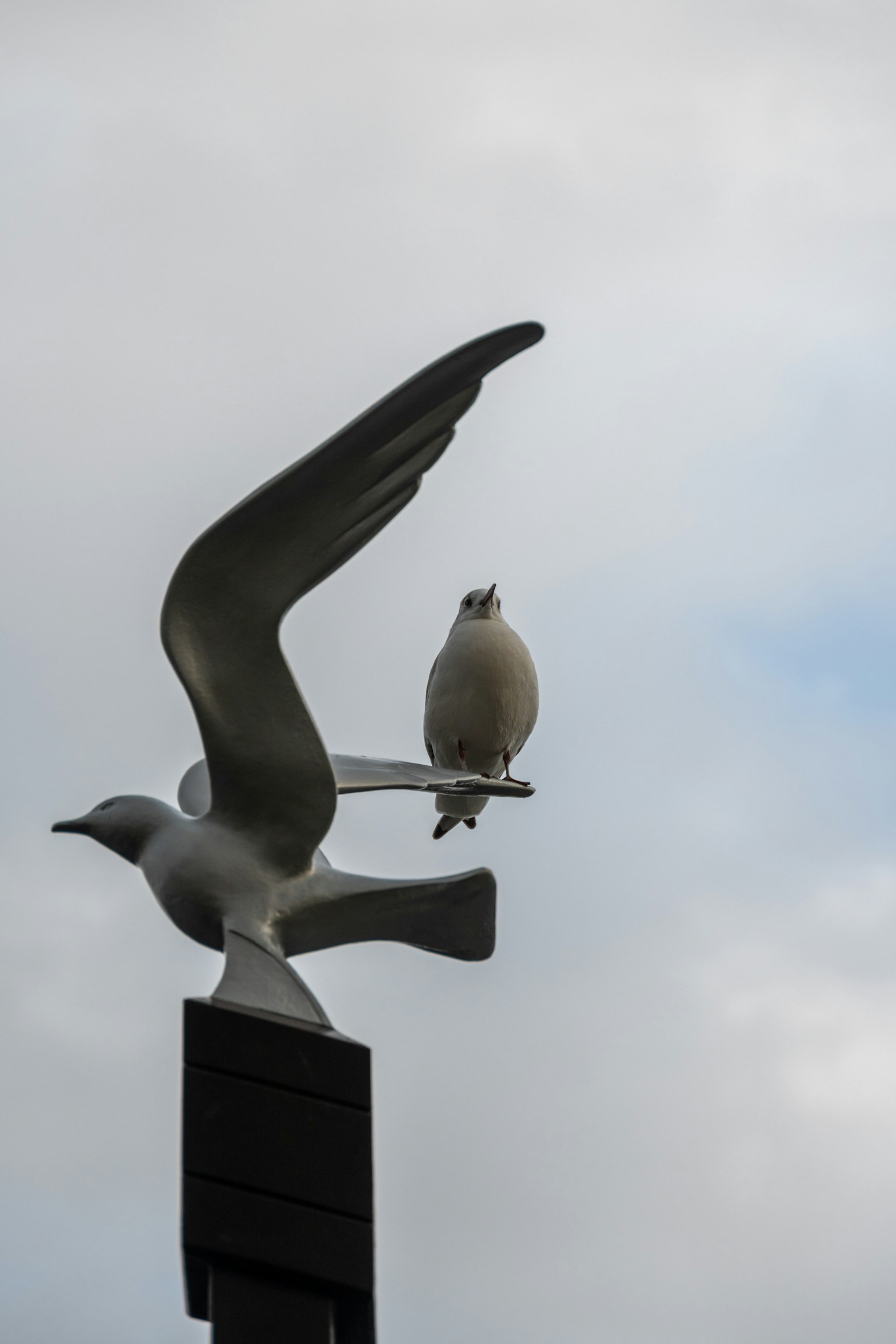 Zwei Vogelskulpturen vor einem bewölkten Himmel