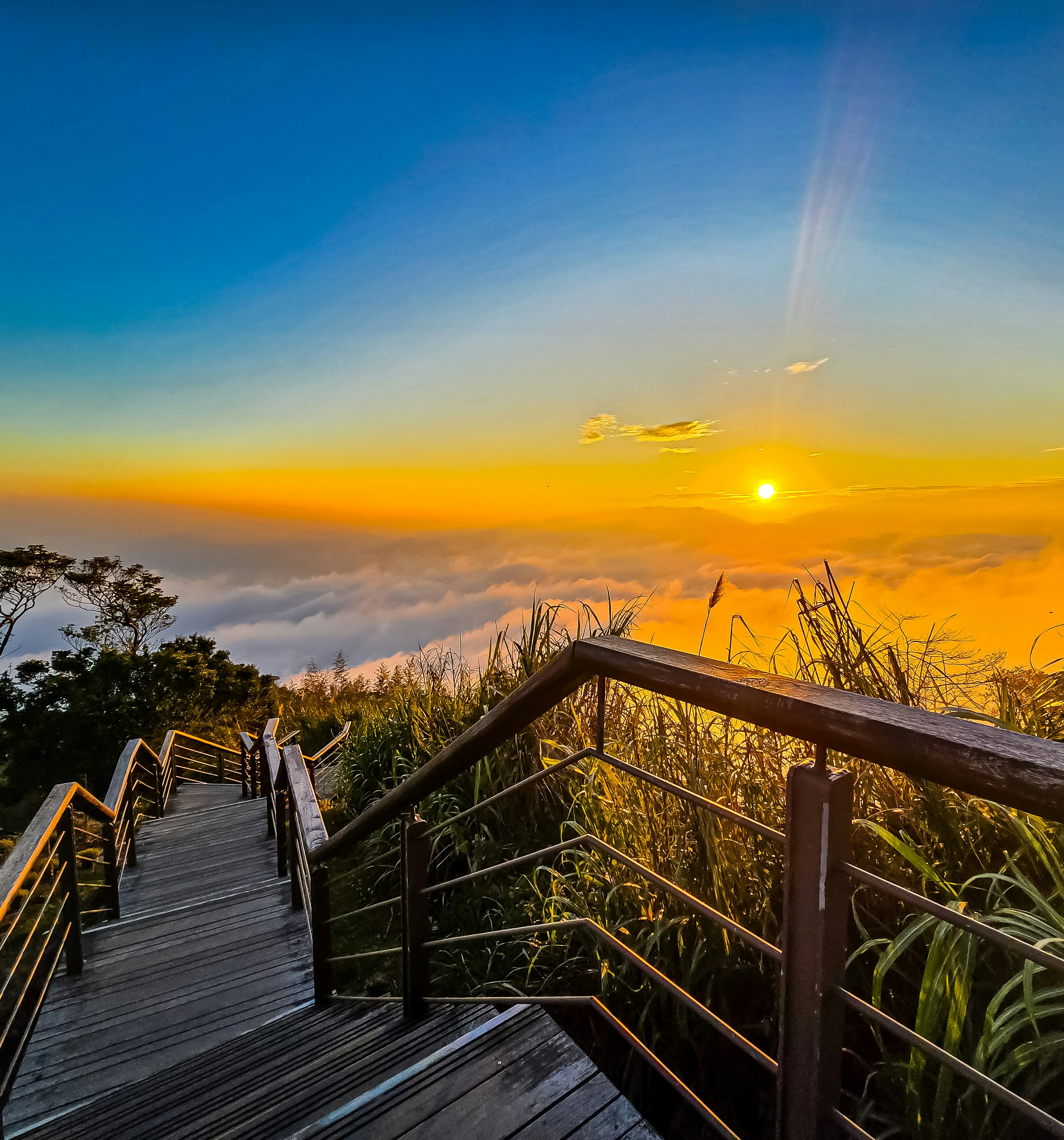 terrazza panoramica sul sentiero Erhyanping a Chiayi, alba sopra il mare di nuvole