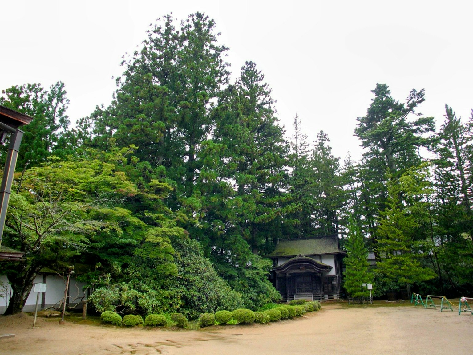 Alberi verdi lussureggianti che circondano un vecchio edificio in un ambiente tranquillo