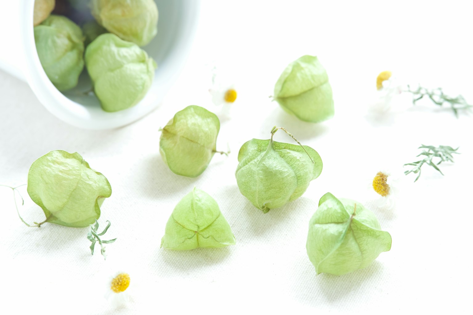 Quả tomatillo rải rác trên nền trắng với những bông hoa nhỏ