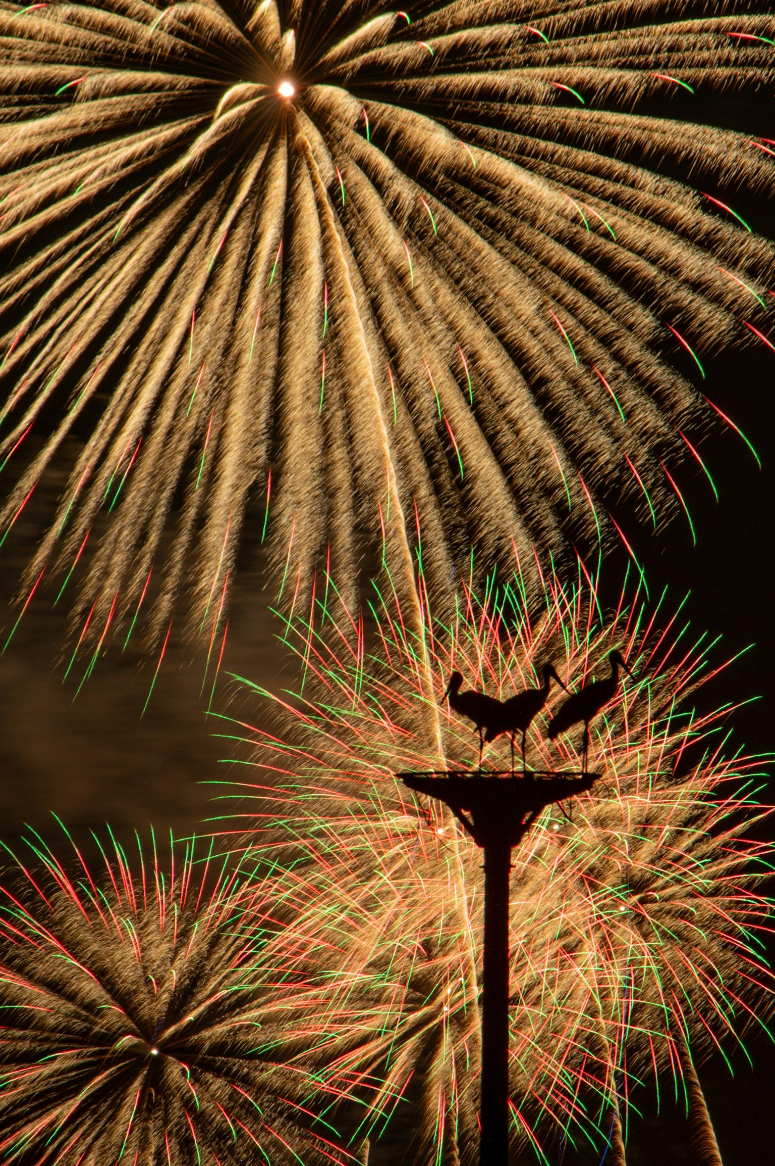 Fuochi d'artificio dorati che esplodono nel cielo notturno con una statua in silhouette