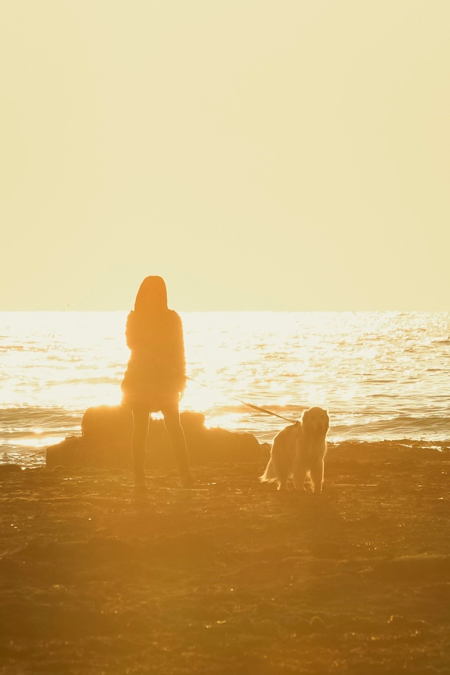 Silhouette di una donna in piedi con un cane sulla spiaggia