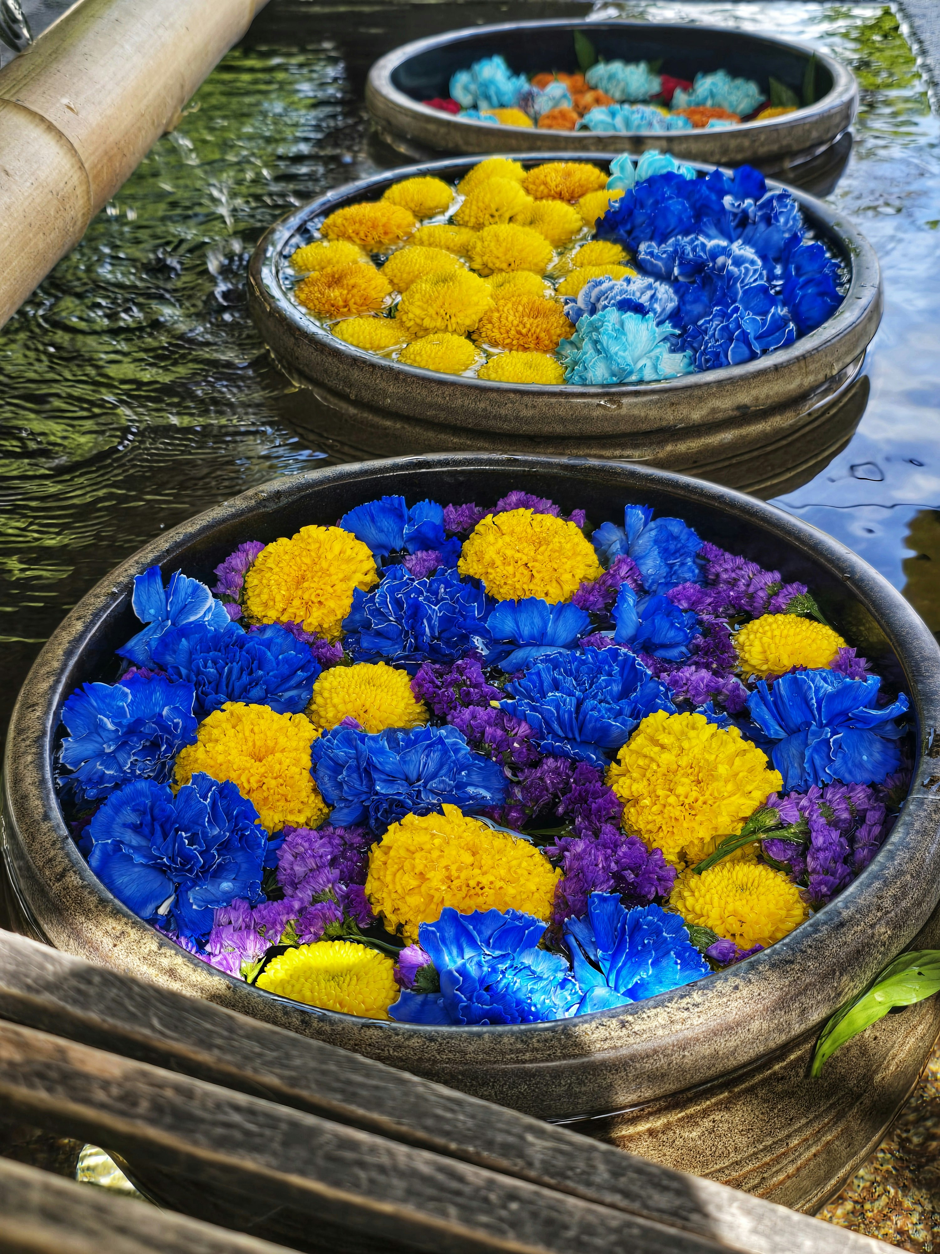 津島神社花手水，彩色花朵的大盆與流動的清水