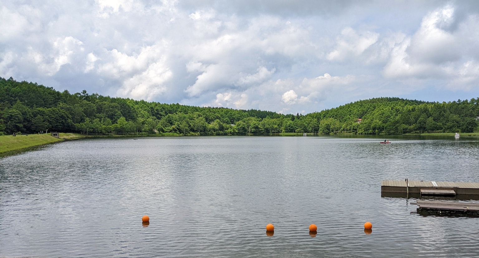 Serene lake view surrounded by greenery with orange buoys floating