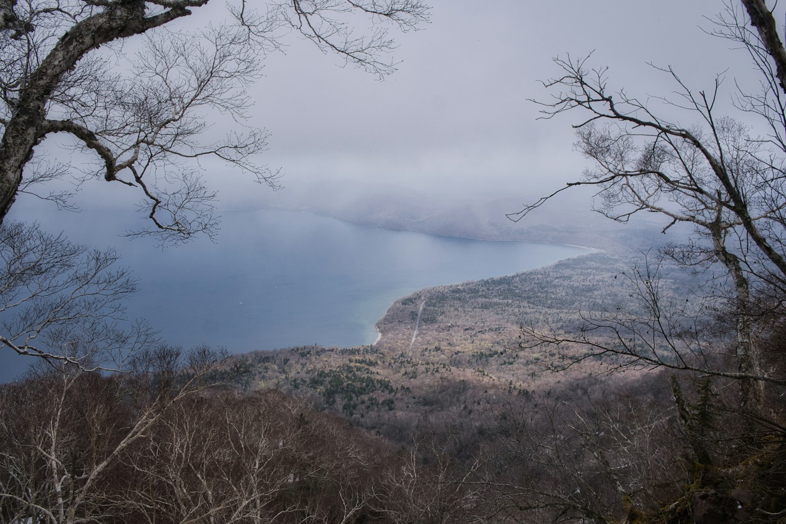 Vue brumeuse des montagnes et de la mer avec des arbres d'hiver visibles