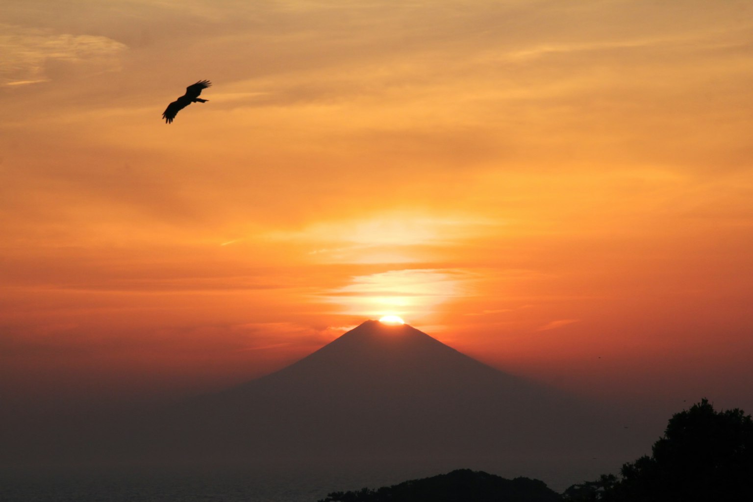A beautiful sunset behind a mountain with a bird flying