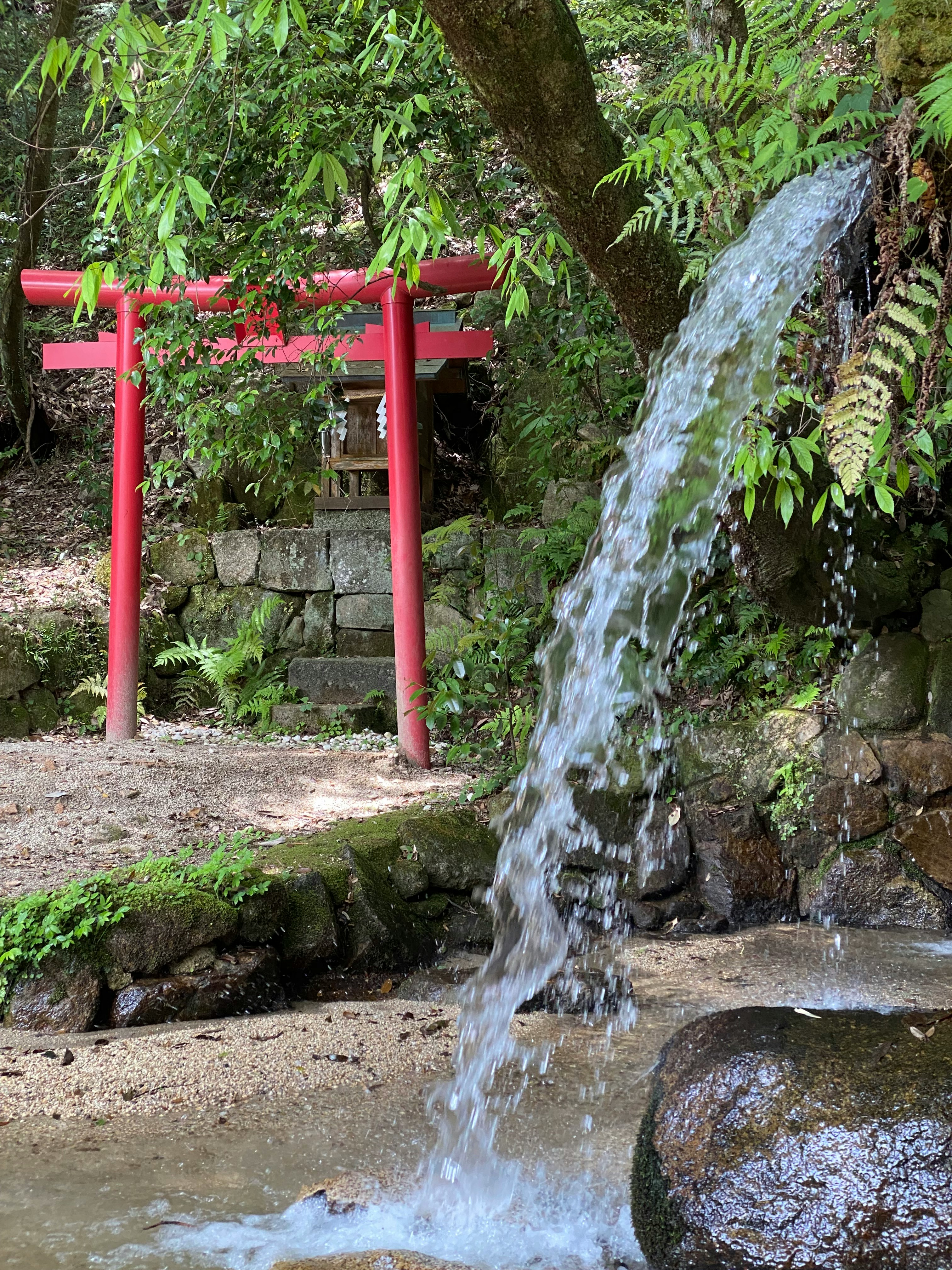 猿投神社の赤い鳥居と苔むす小川の流れのある参道