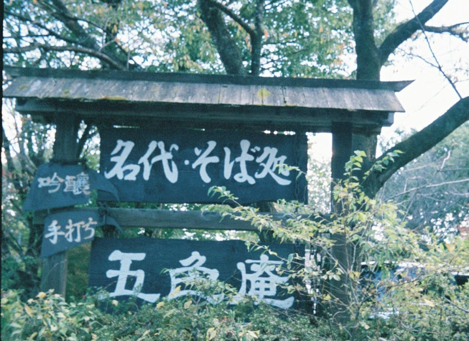 一块复古木牌，上面有手写文字，背景是自然环境