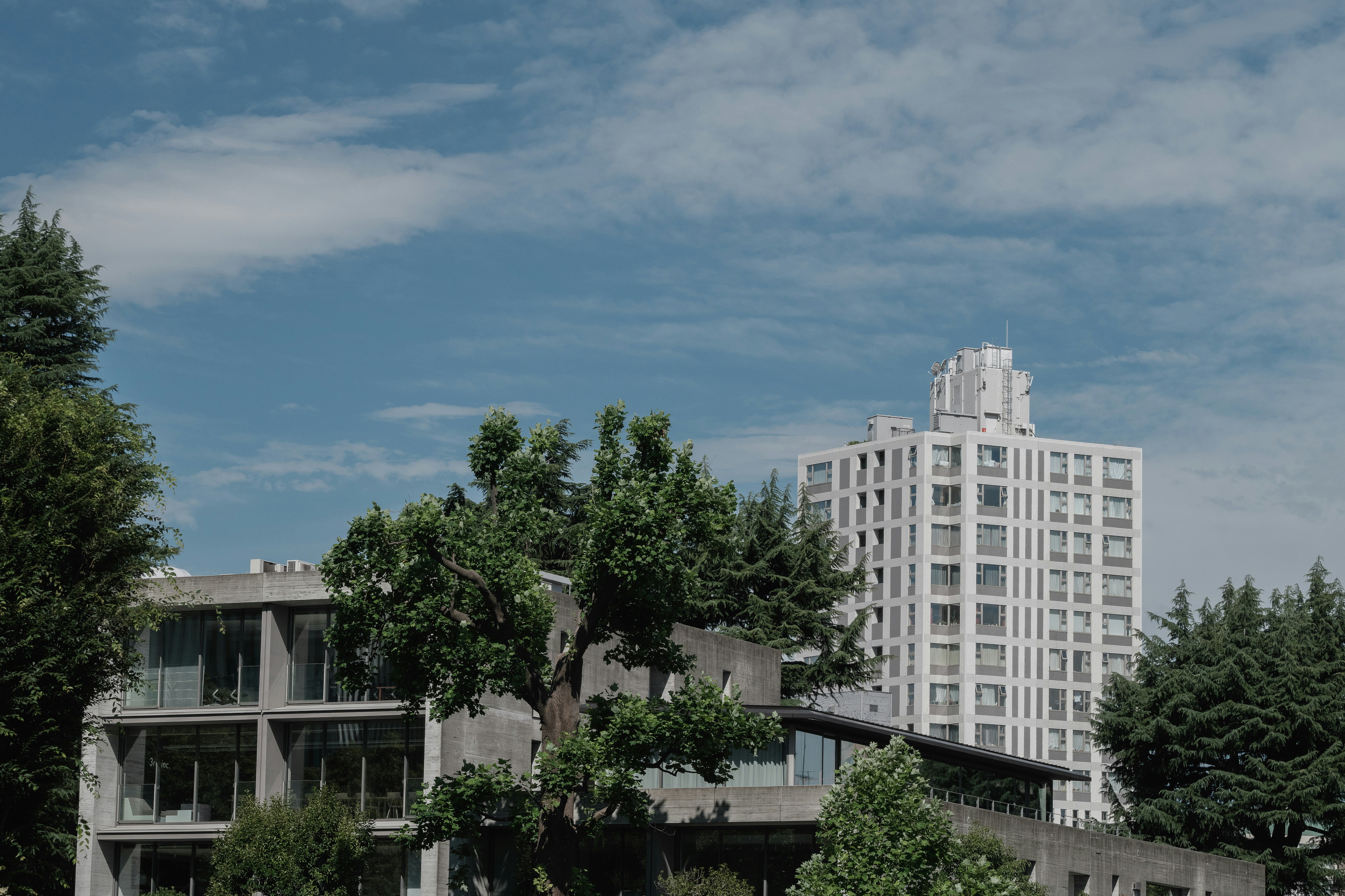 paysage urbain avec des arbres feuillus et un grand immeuble