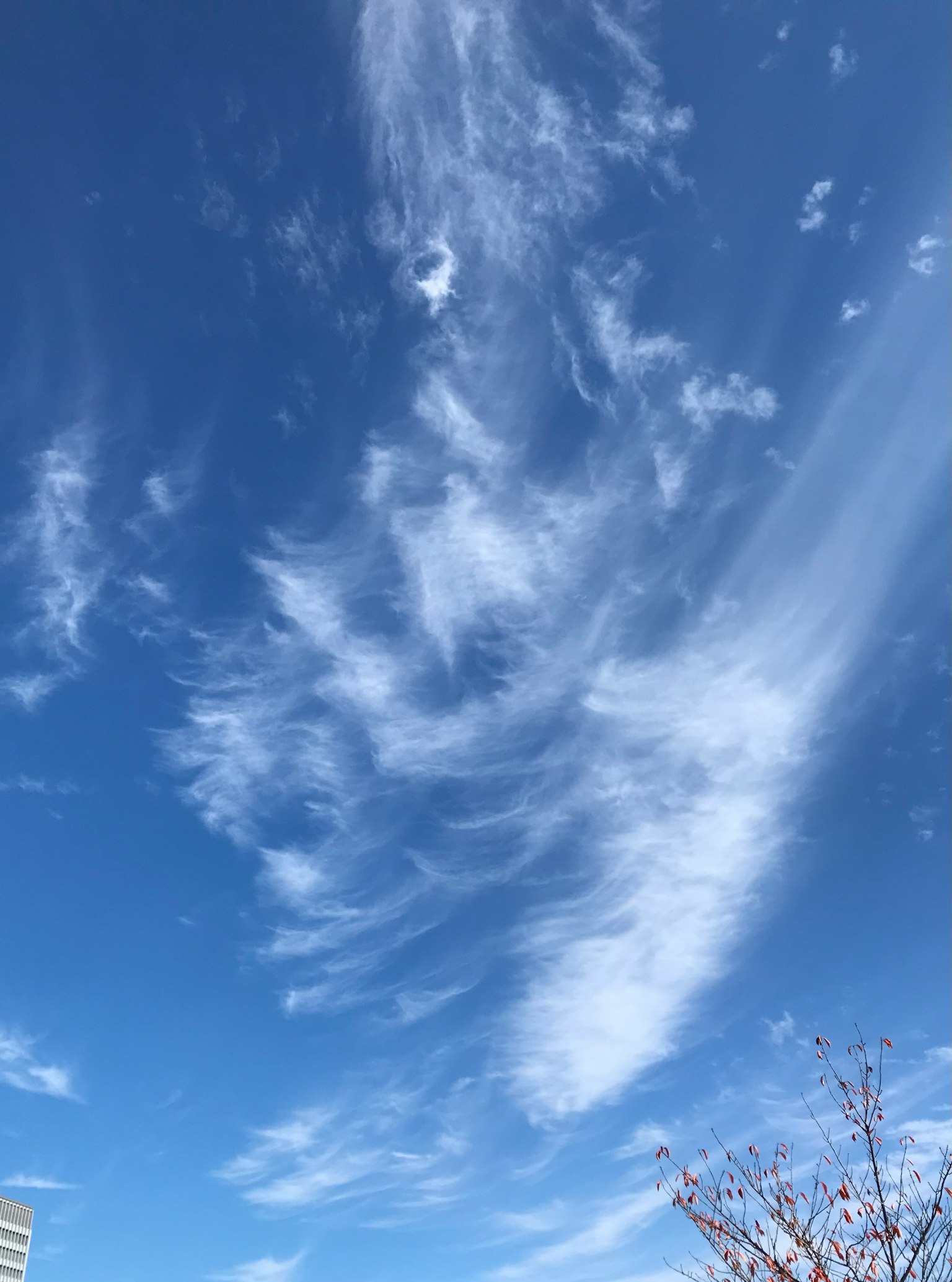 Beaux motifs de nuages dans un ciel bleu