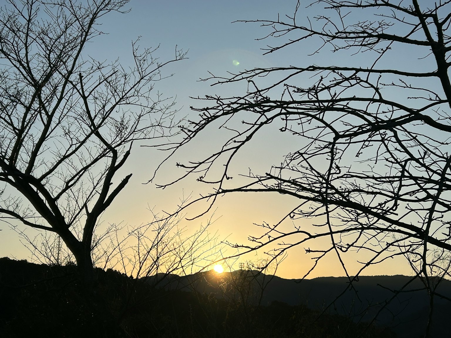 Sonnenuntergang hinter Bergen mit kahlen Bäumen in Silhouette