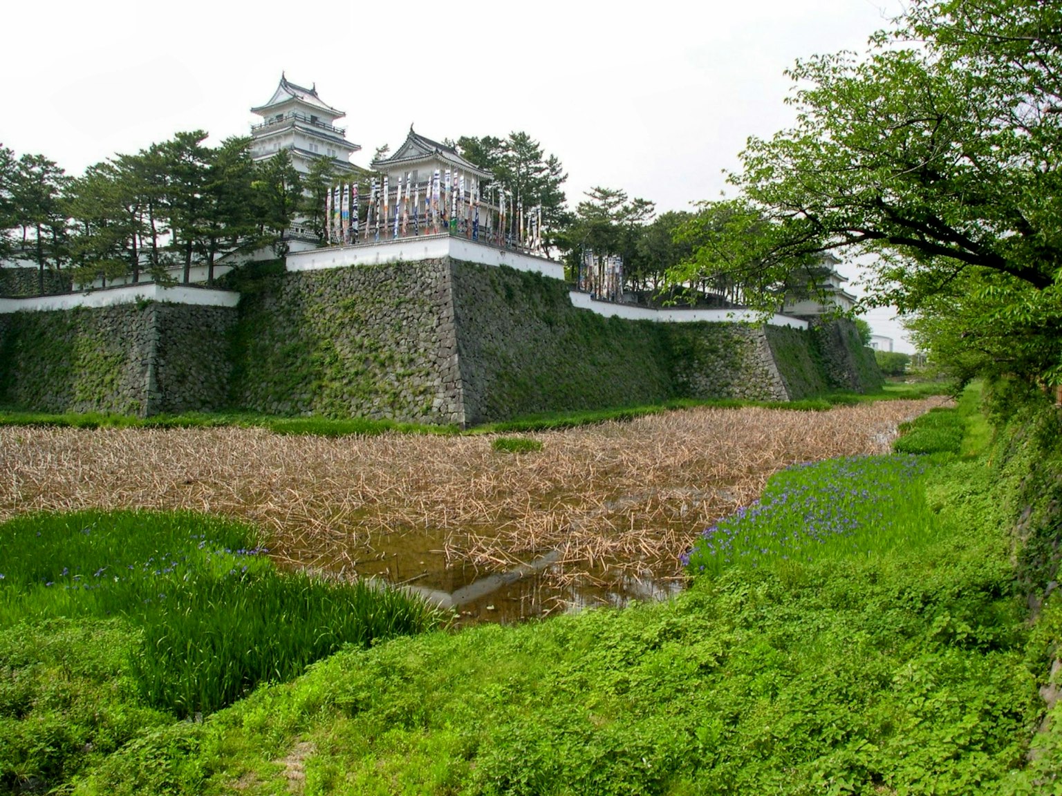 Schloss umgeben von Grün mit Wasserbereich