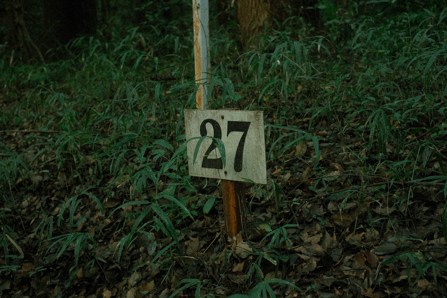 Wooden sign displaying the number 27 surrounded by green grass