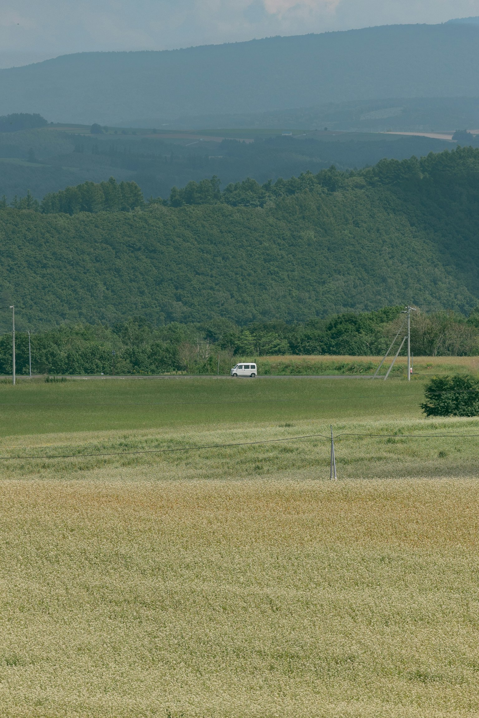 A scenic view of green hills with a white car in a wide field