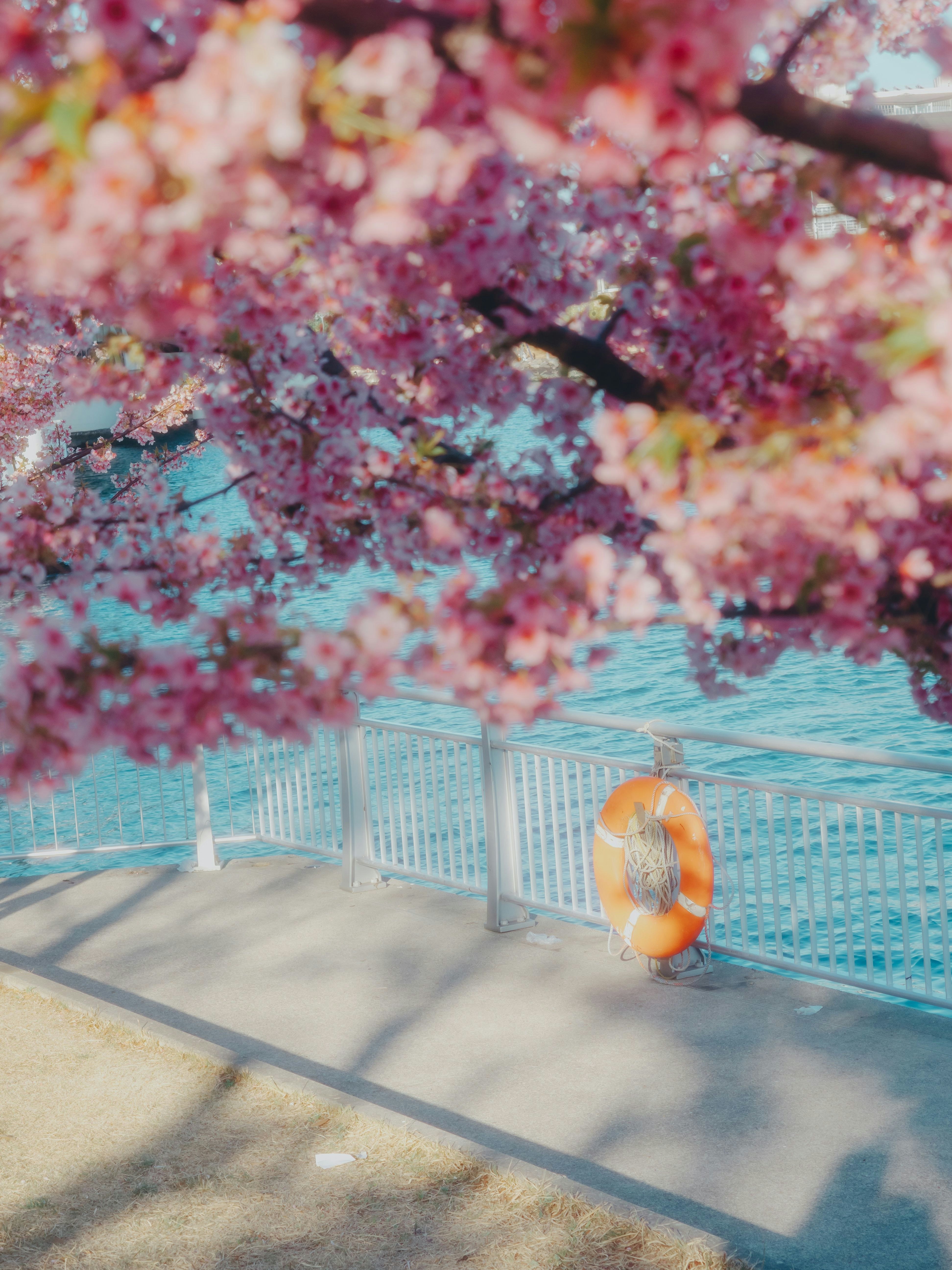 色とりどりの花びらが舞う屋外のプールサイド