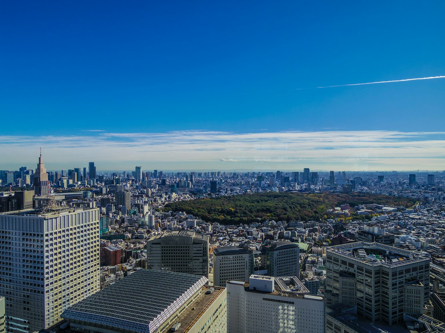 Vista panoramica dello skyline di Tokyo con un parco verde al centro