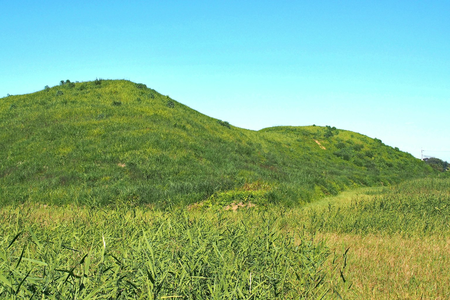 Colline verdi e prateria sotto un cielo blu chiaro