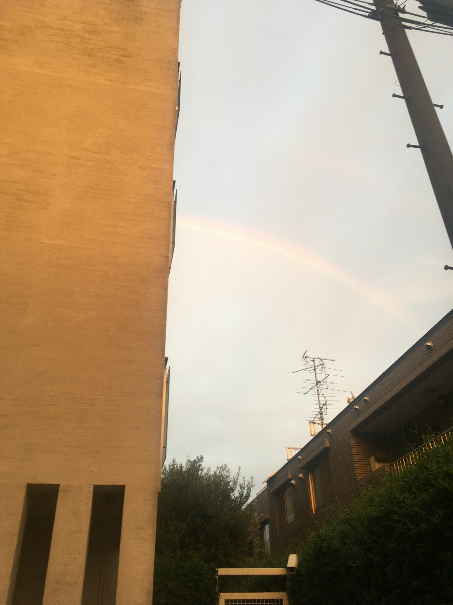 Regenbogen zwischen hohen Gebäuden und bewölktem Himmel sichtbar