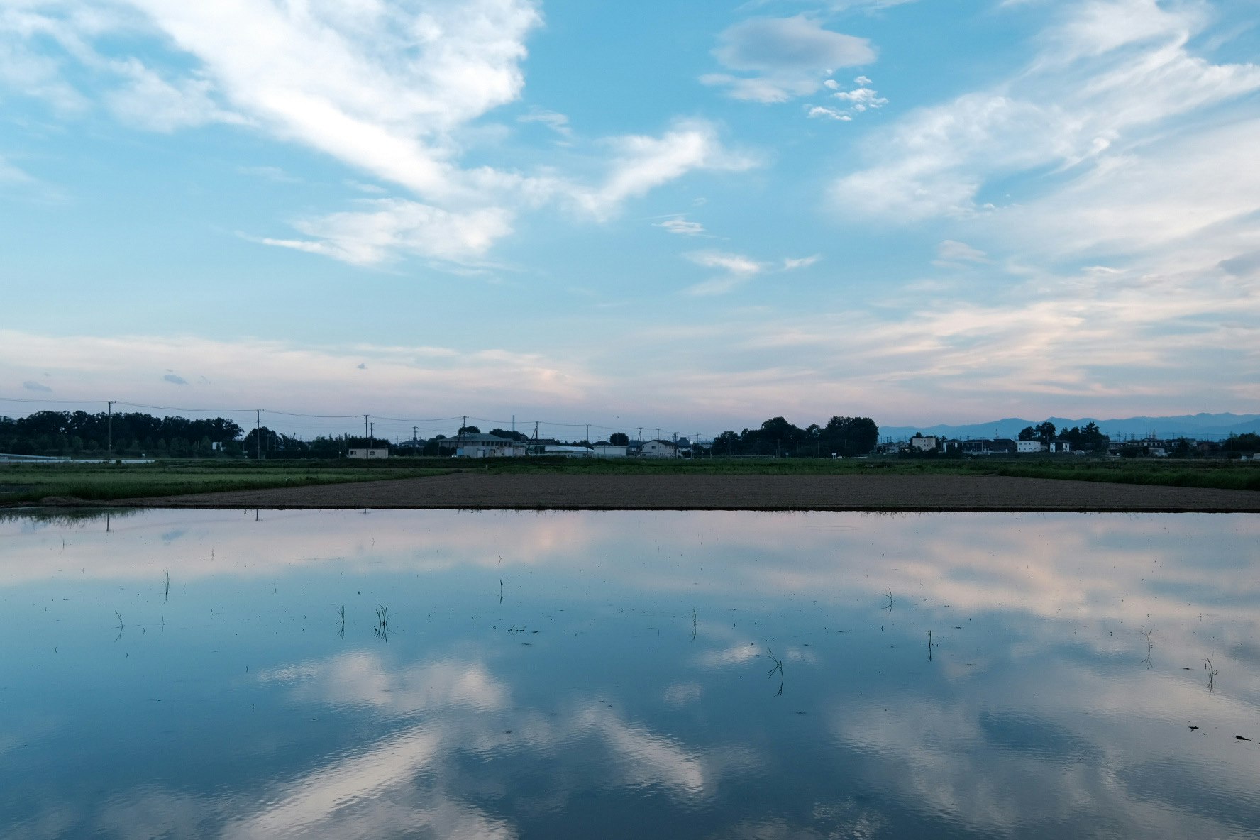 水田に張った水面と空の風景