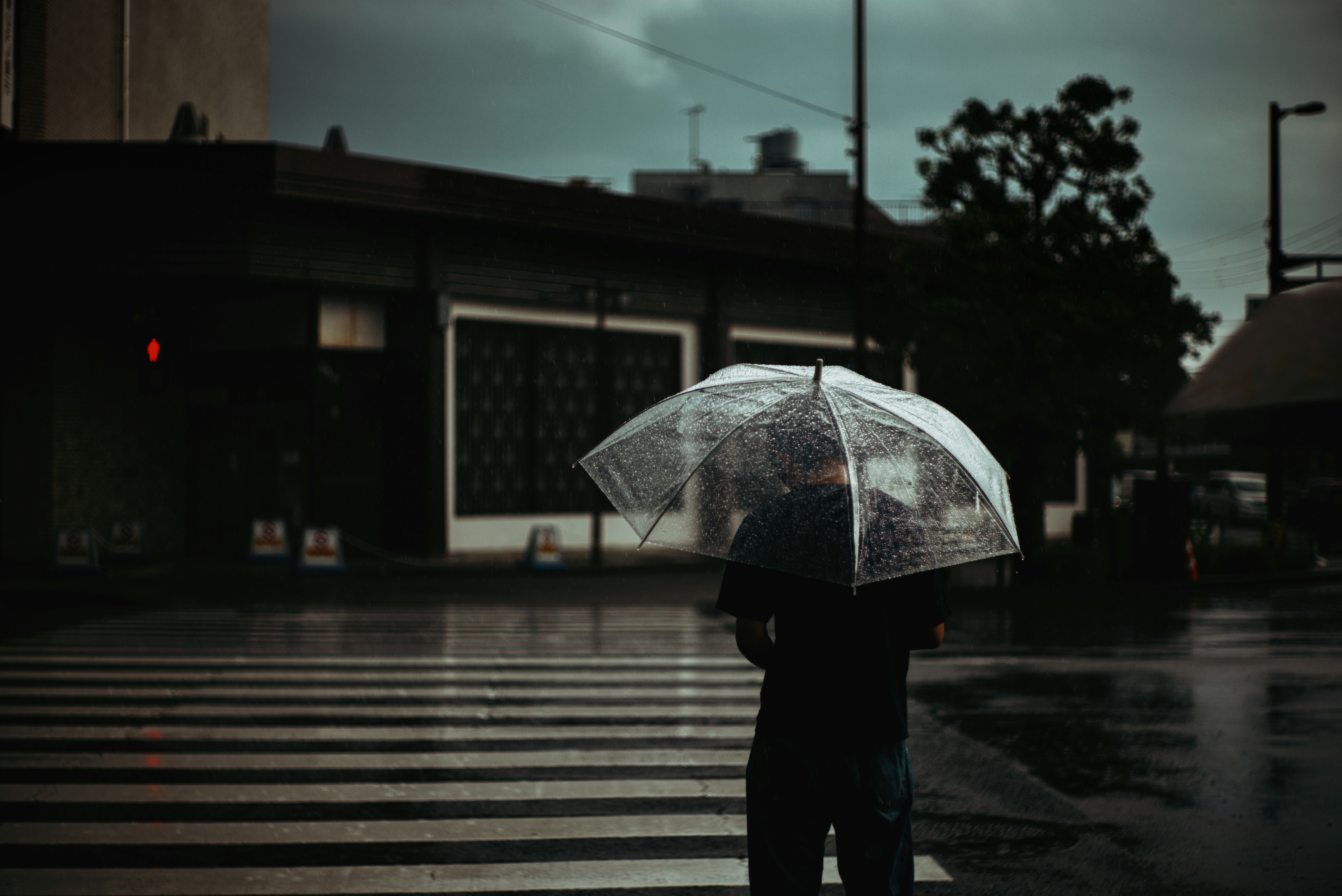 photo-JbV65nK2RimgQceDXxom-image