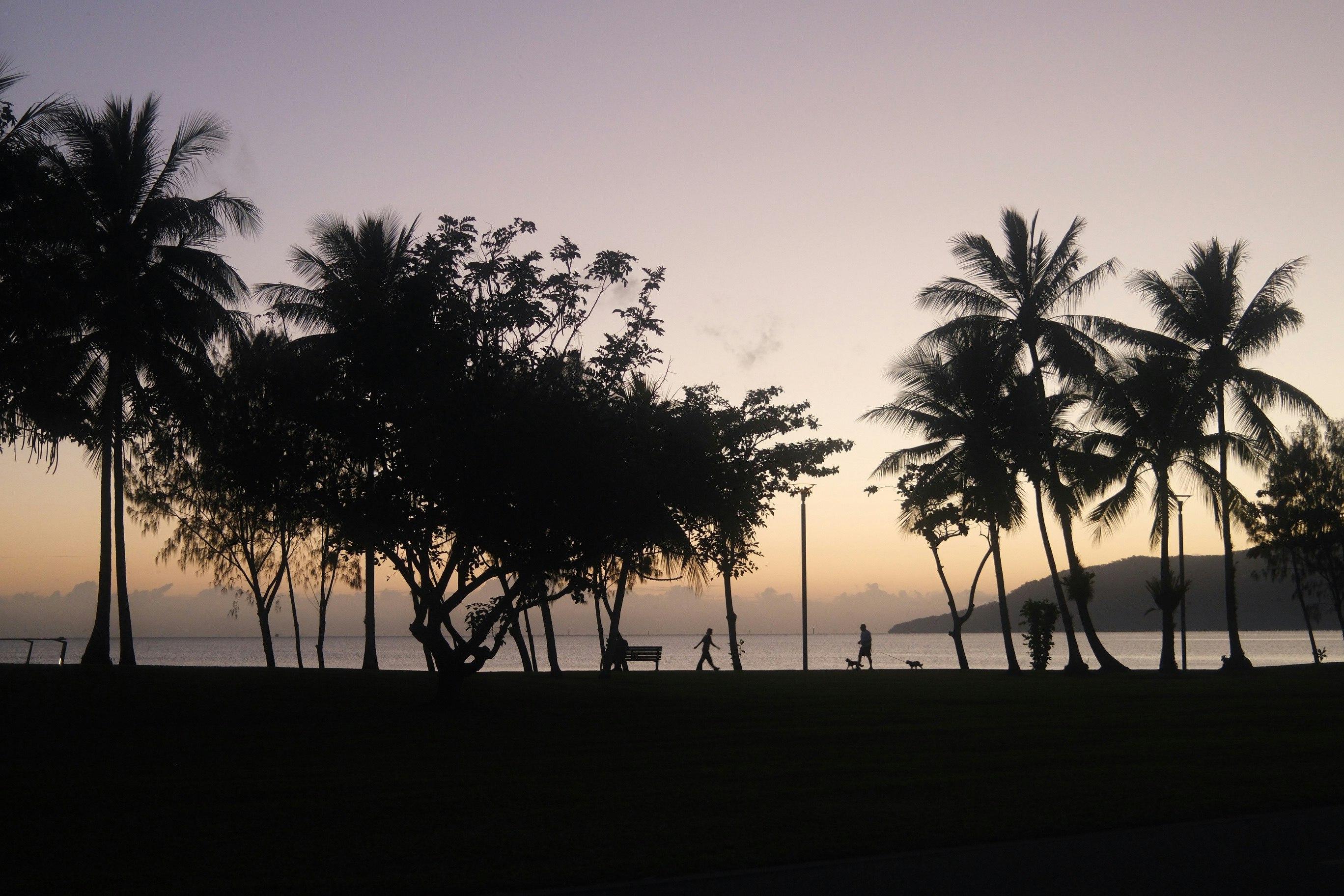 ヤシの木が並ぶ海辺の夕暮れのシルエット