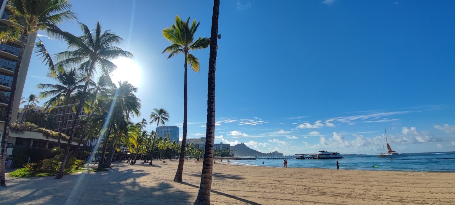 Beach scene with blue sky and ocean lined with palm trees and shining sun