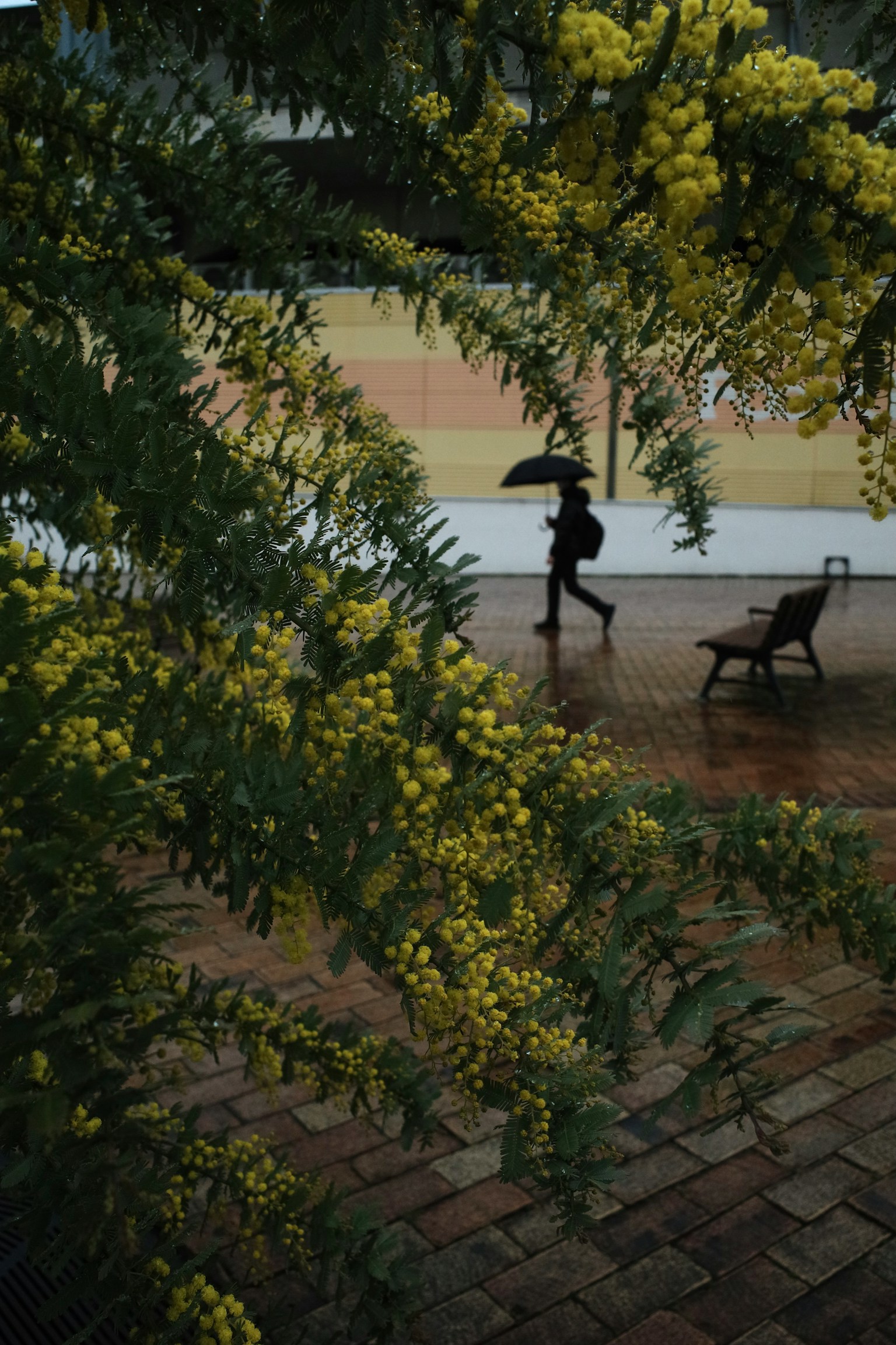 photo-Jbcorjc0vvn62e6RxRle-image