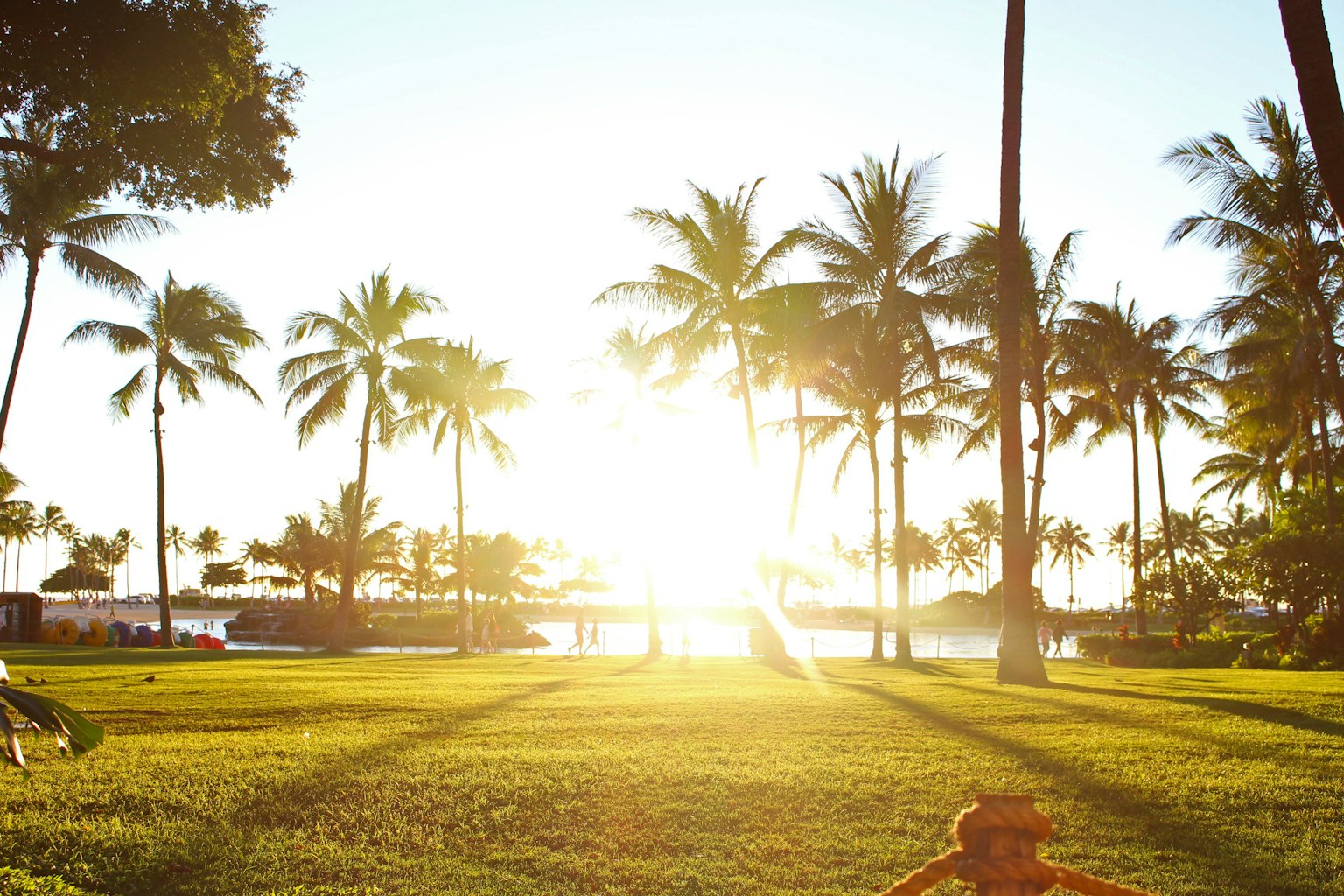 Atardecer sobre una playa con palmeras y césped verde