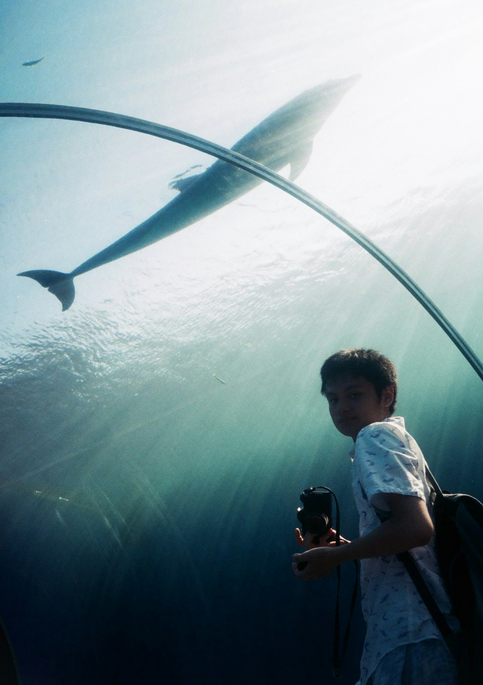 photo-Jc5d9nVABXMqlShutlov-image