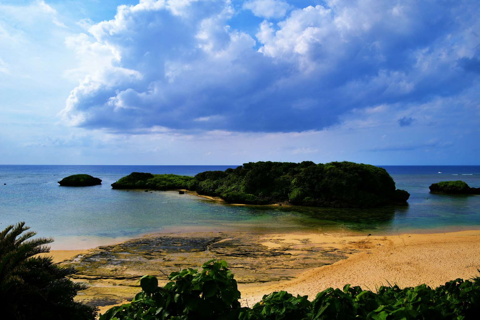 Vista panoramica dell'oceano blu e del cielo con nuvole Spiaggia e vegetazione in primo piano