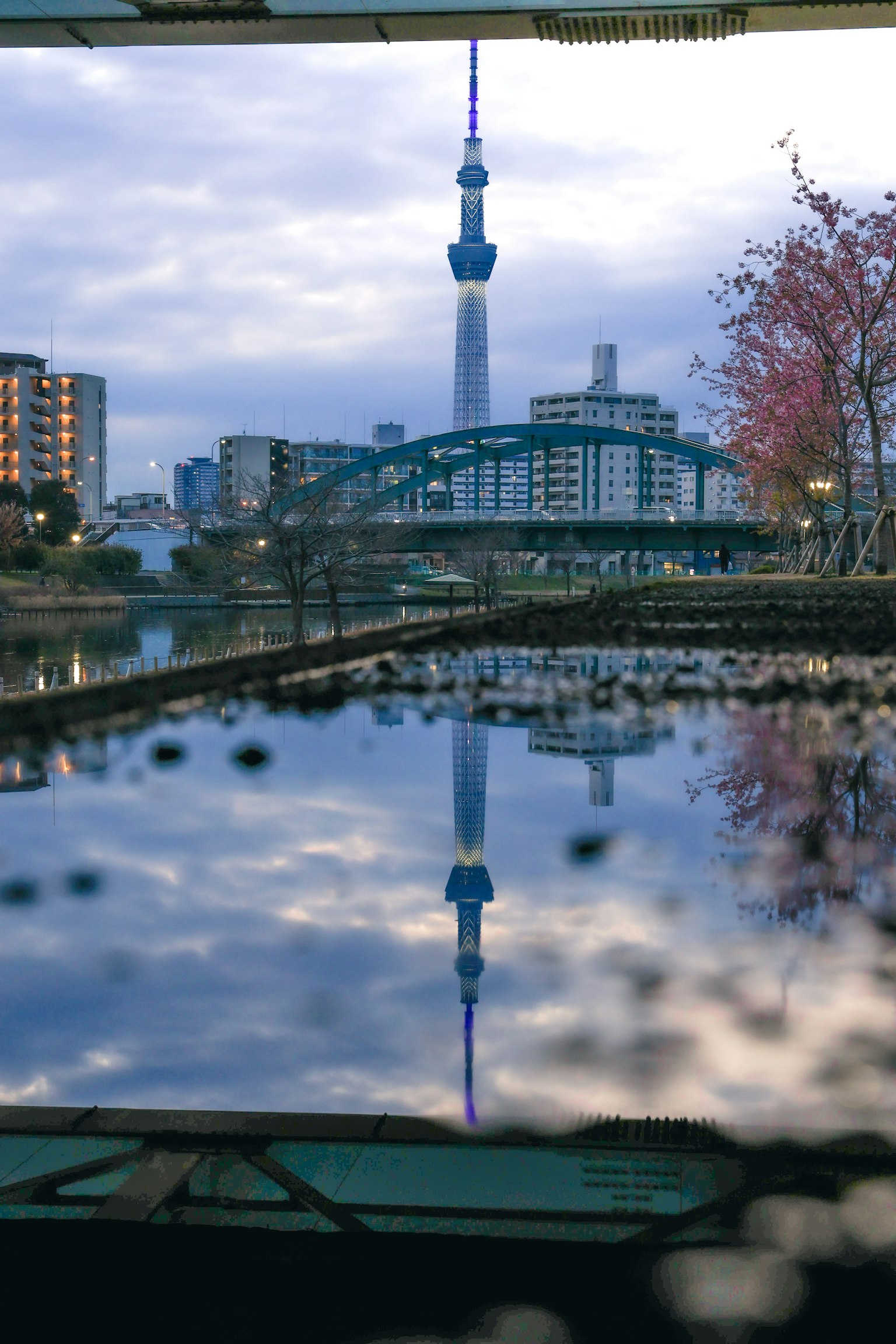 东京天空树在平静水面上的反射与城市背景
