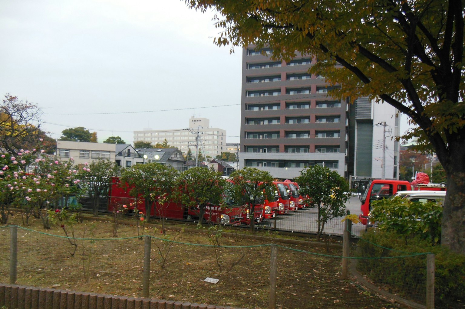 Vista de vehículos rojos estacionados con un edificio alto al fondo