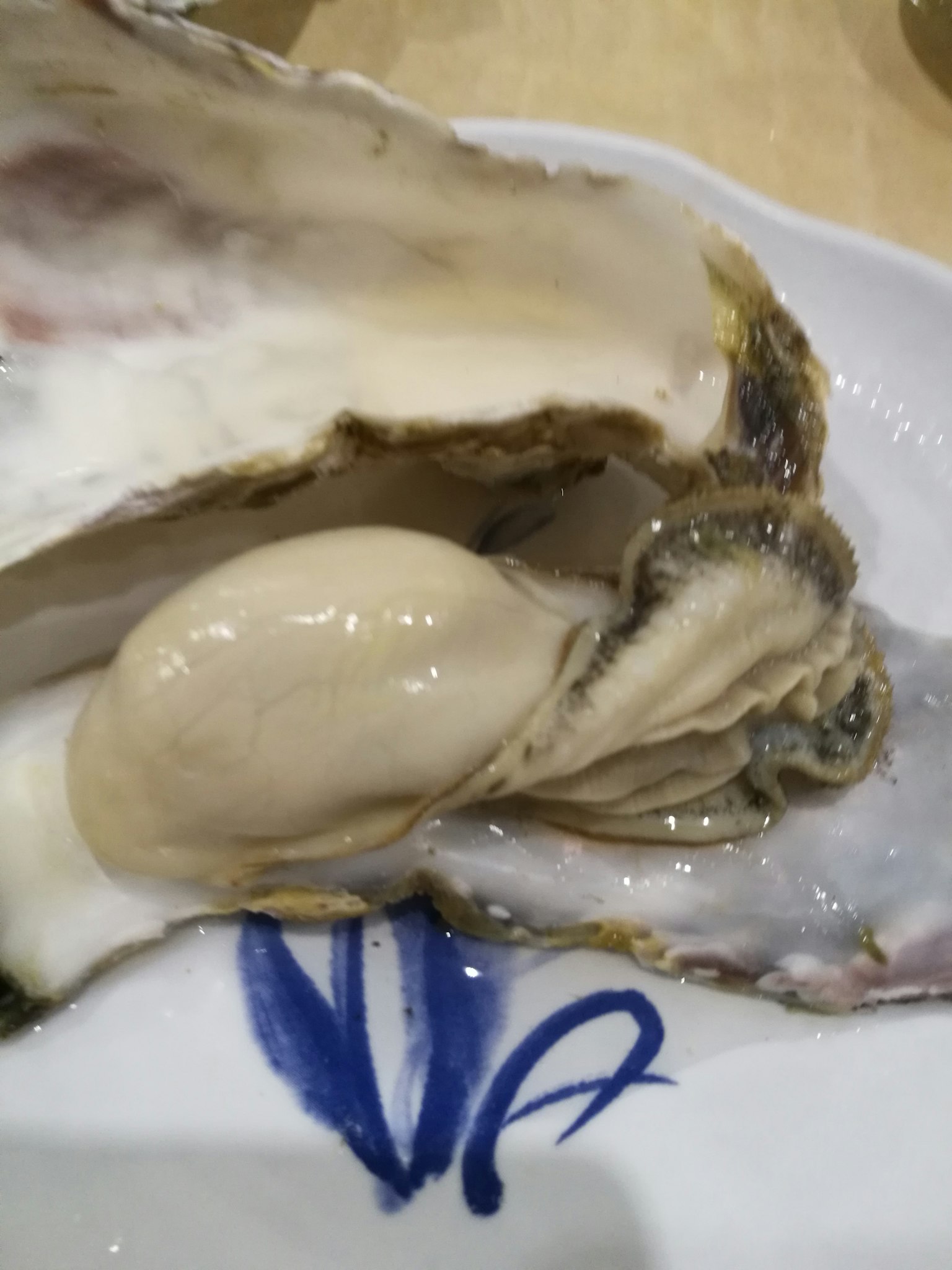 Fresh oyster displayed on a plate with a decorative blue design