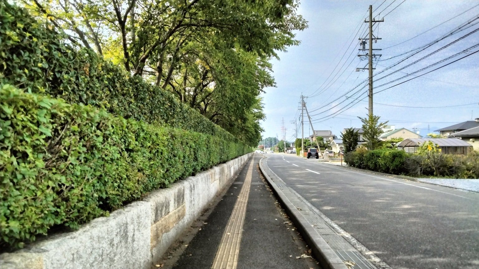 Scène de route calme bordée de haies vertes