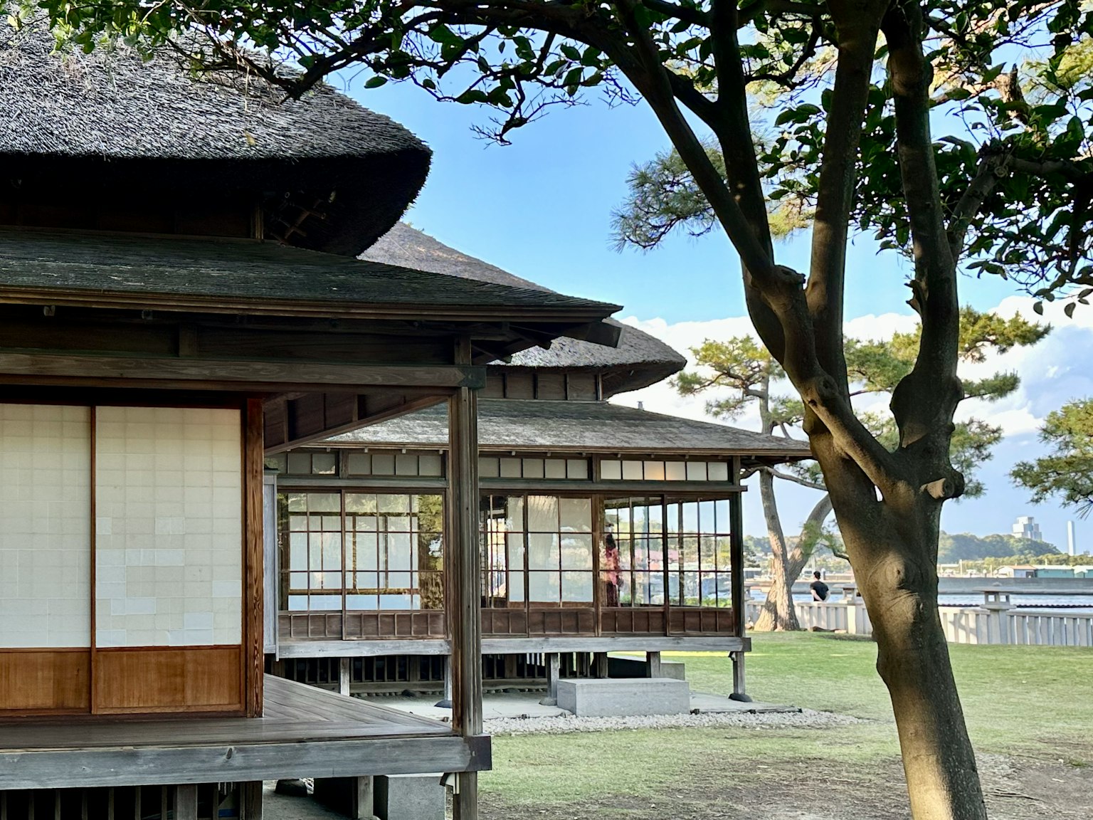 Traditionelle japanische Häuser mit Reetdächern und Bäumen im Vordergrund