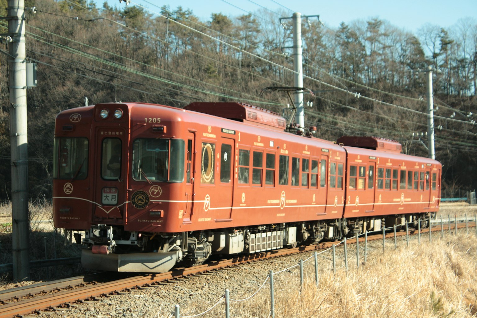 Red train on the tracks surrounded by nature