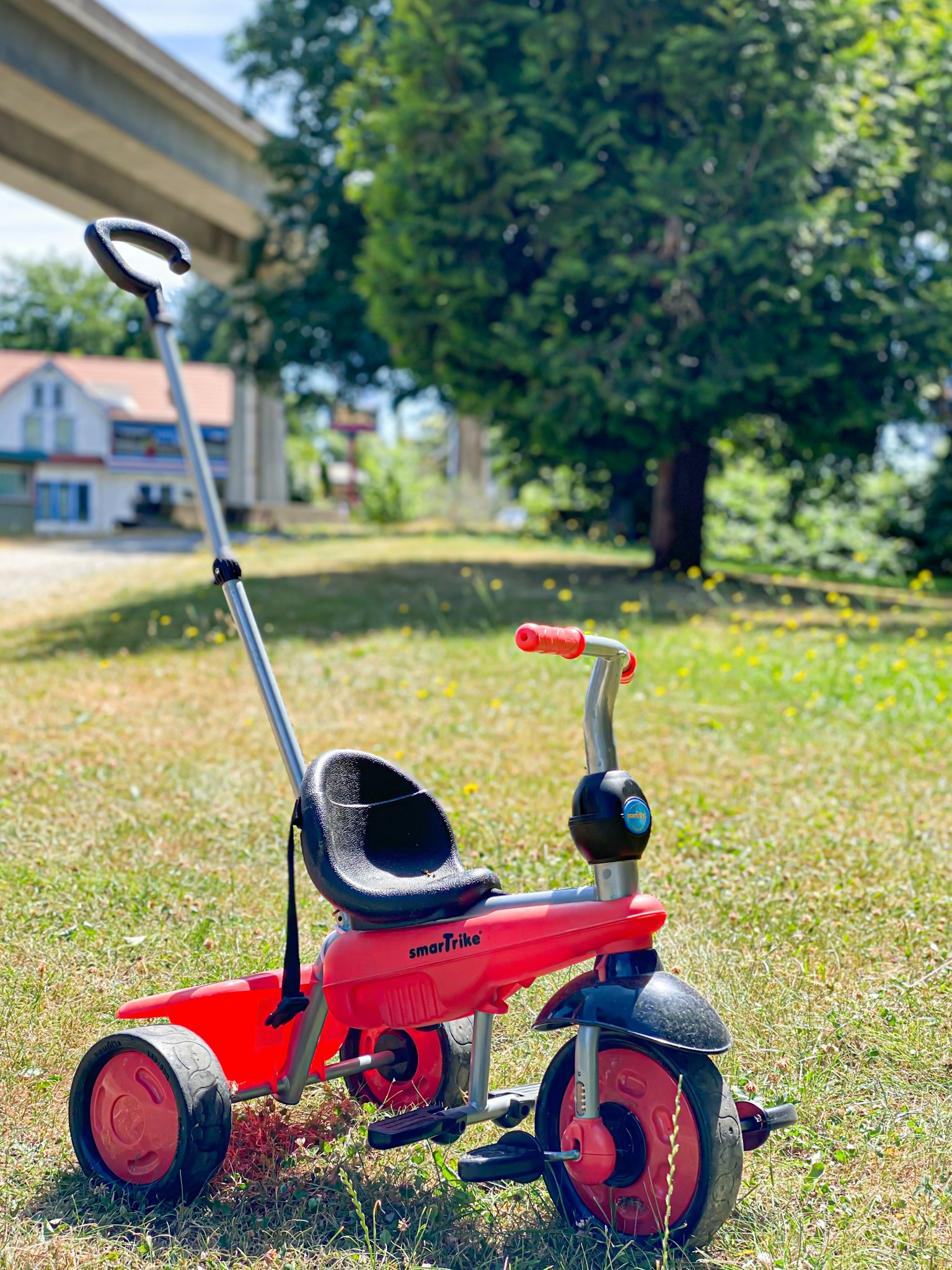 A red tricycle positioned on green grass with a tree in the background