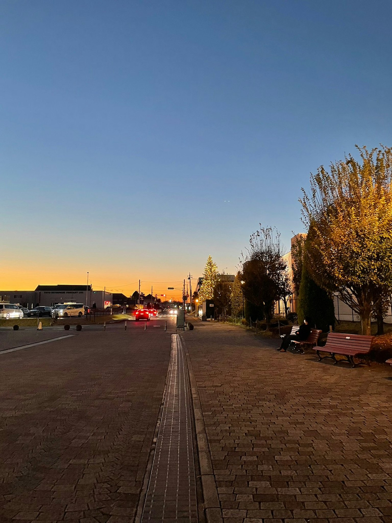 Vista di strada al tramonto con un marciapiede pavimentato e alberi ai lati