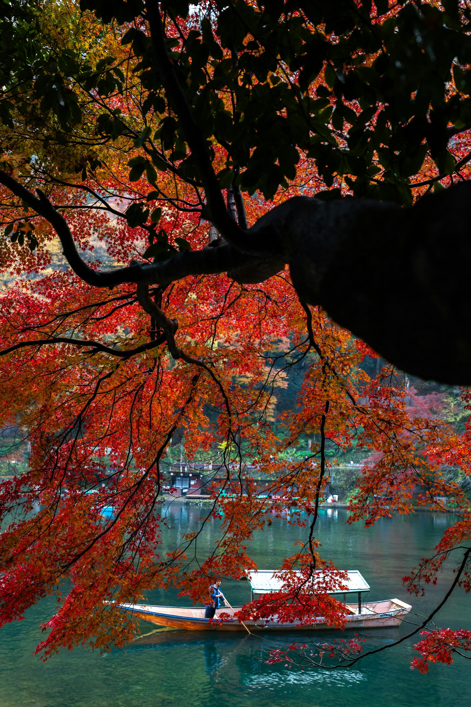 Scenic view of autumn foliage over a lake with a boat gently floating