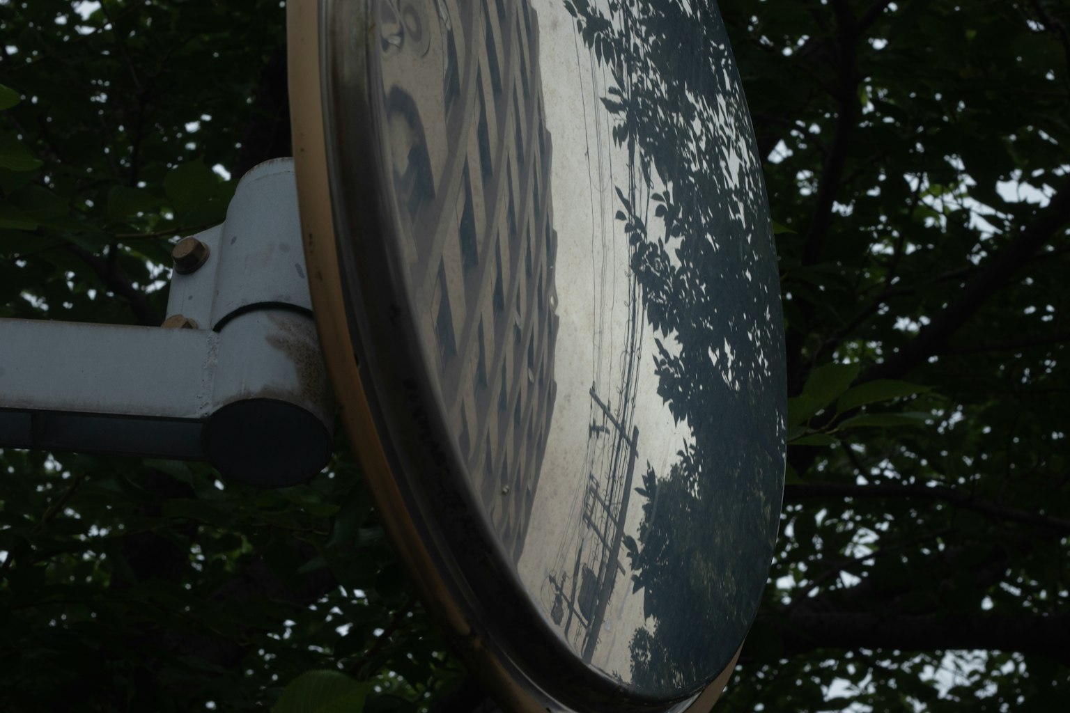Bild eines reflektierenden Spiegels mit Bäumen und einem Gebäude in seiner Reflexion