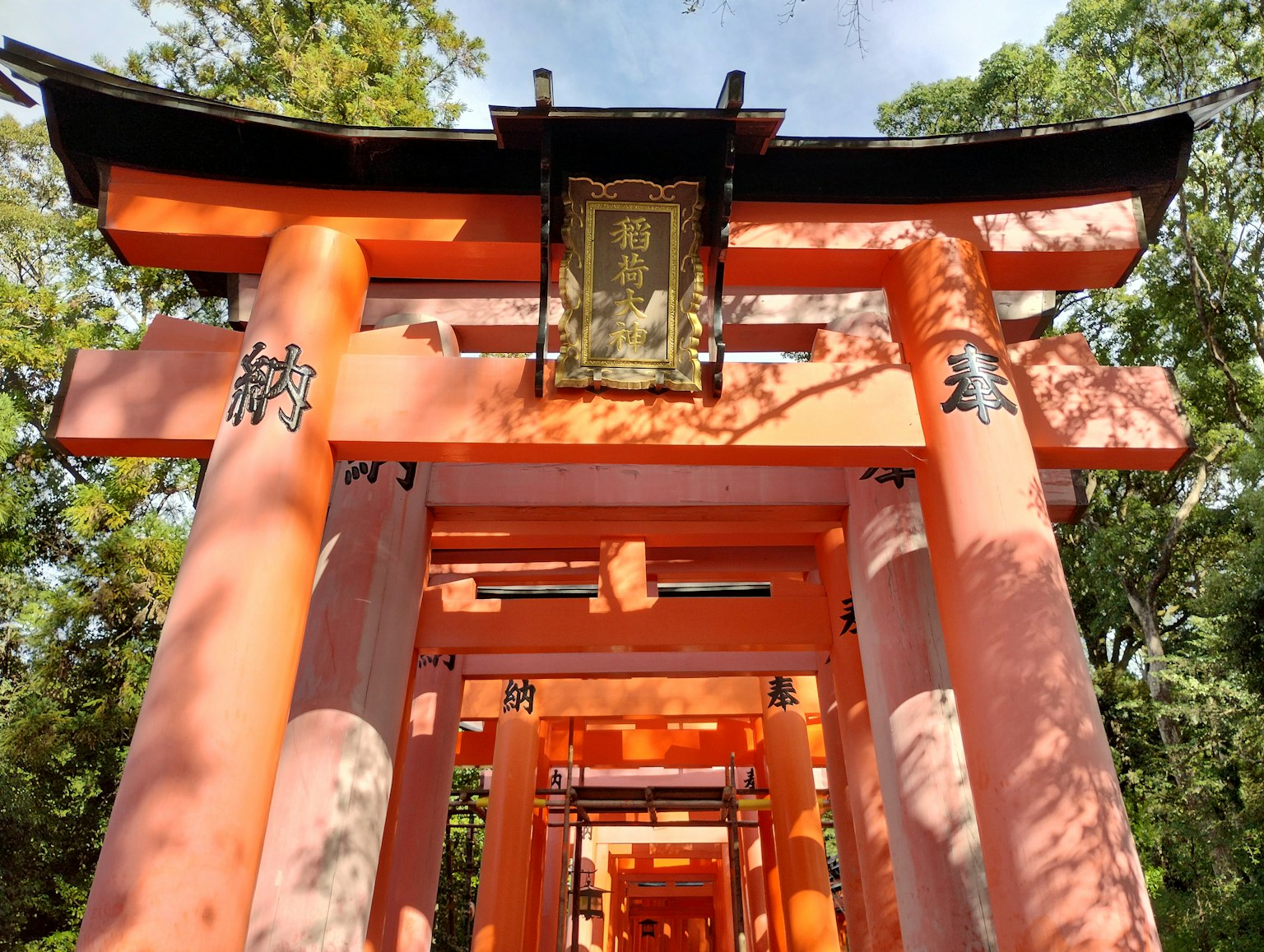 鮮豔的橙色鳥居沿著通往神社的小路排列