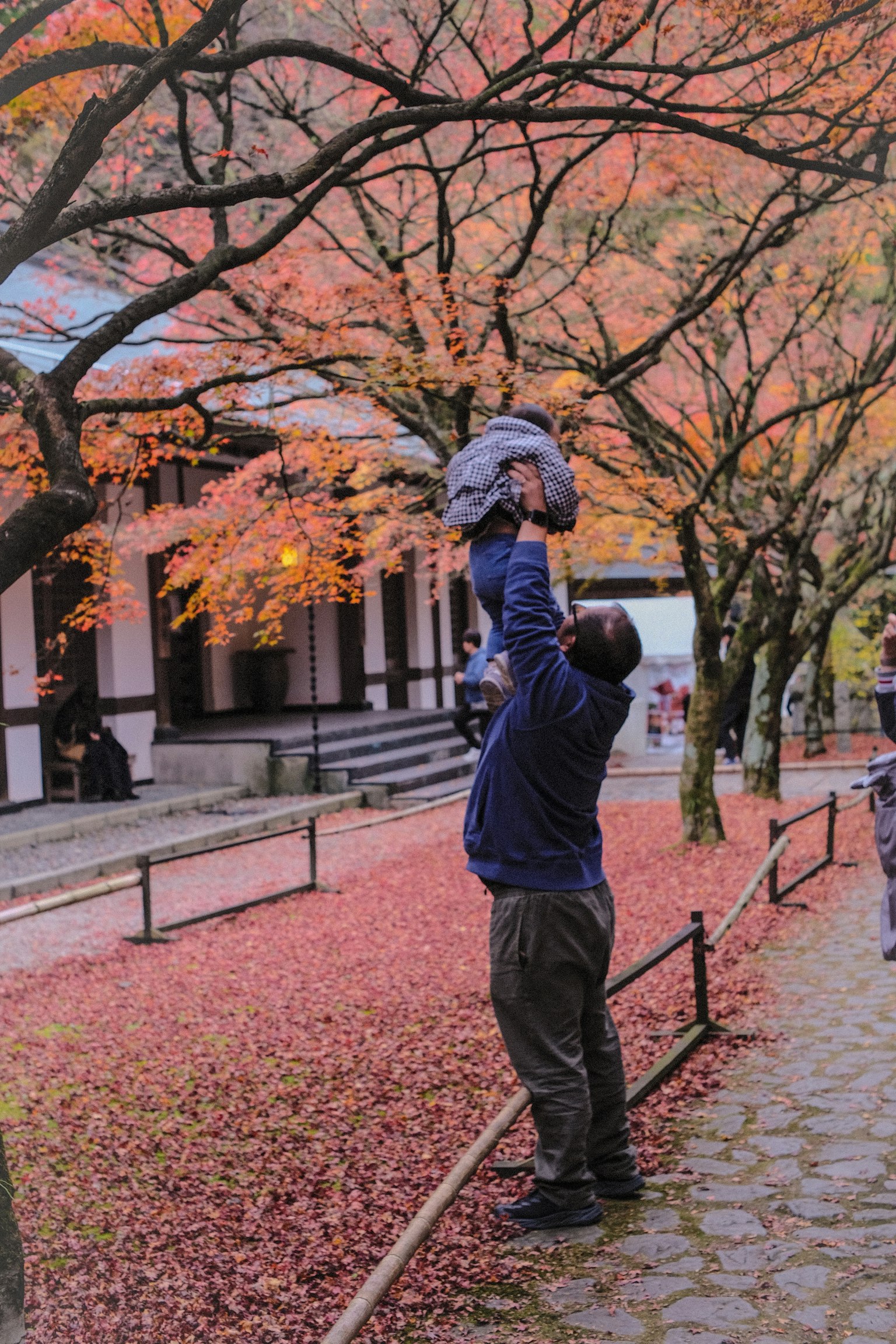 父亲在秋天的树叶中举起孩子