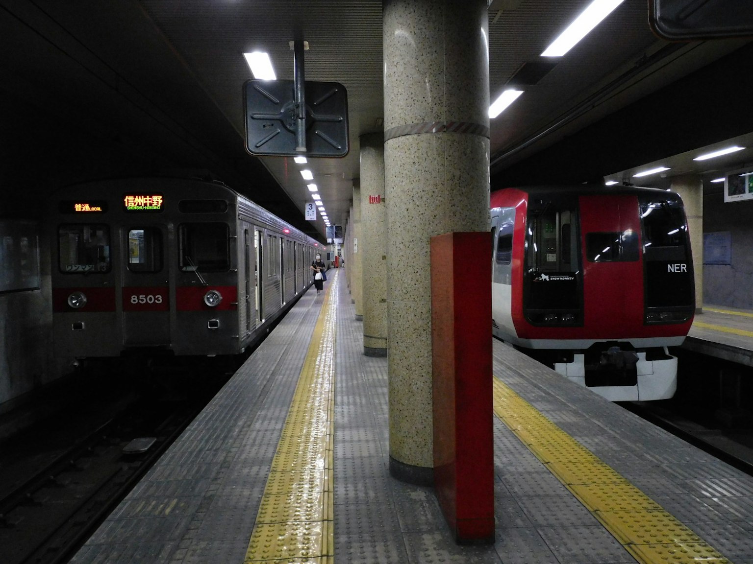 U-Bahn-Station Plattform mit geparkten Zügen und einem Säule
