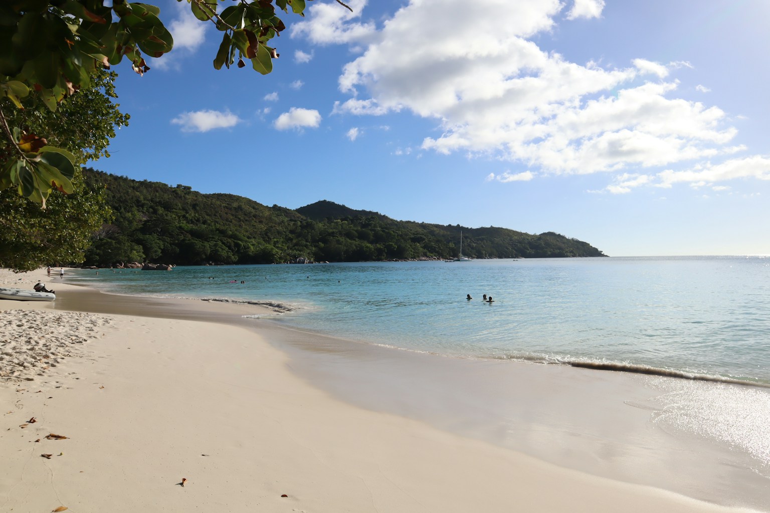 Scenic beach view with blue sky and calm ocean white sandy shore and green trees
