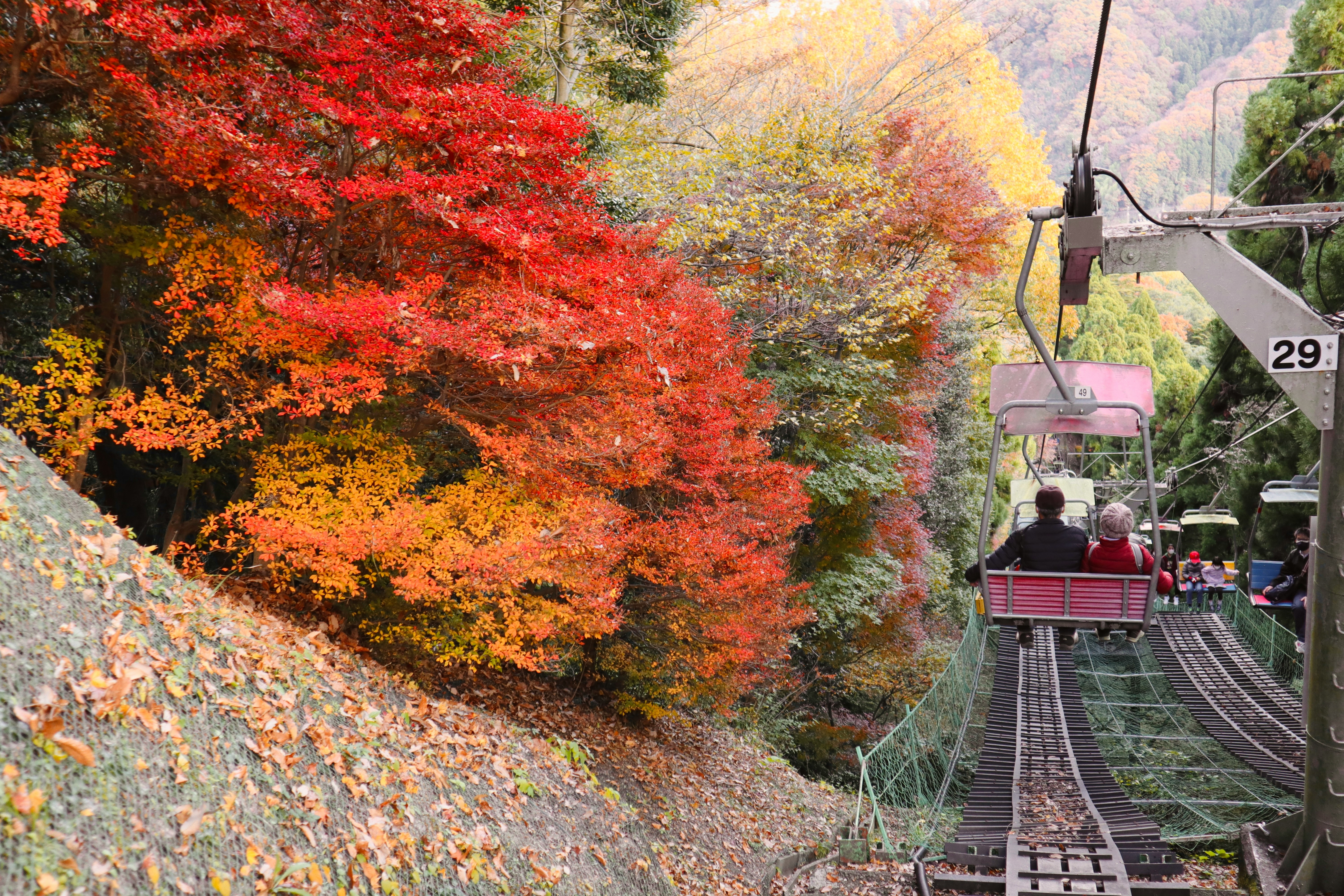 紅葉の山並みとケーブルカーのある景勝地