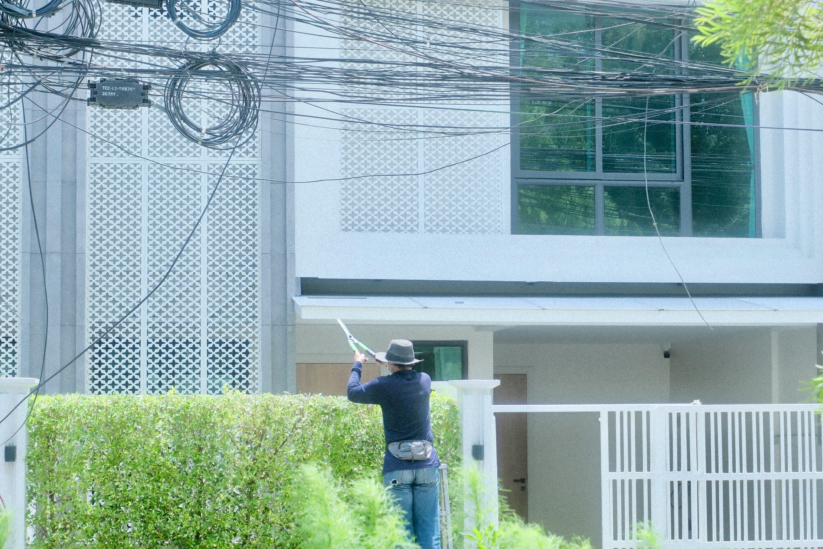 夏の緑の生け垣の前で自転車に乗る人