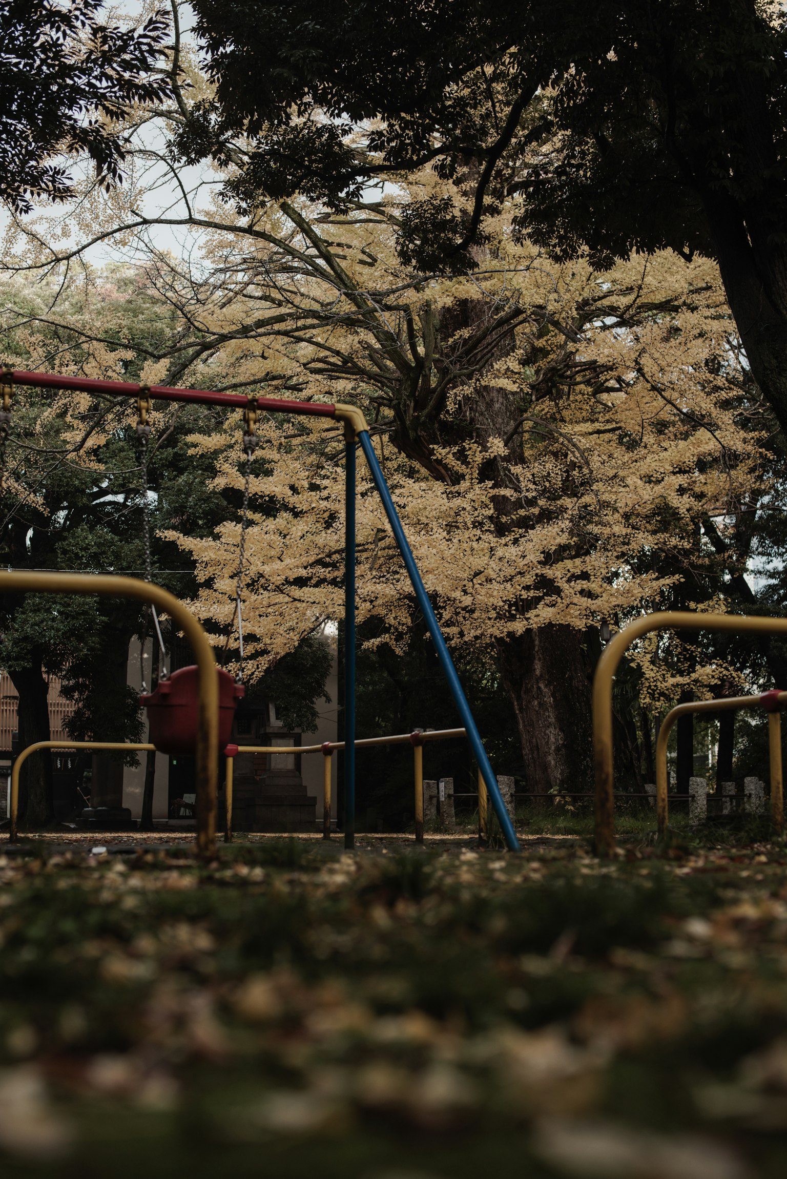 Playground swings surrounded by autumn trees