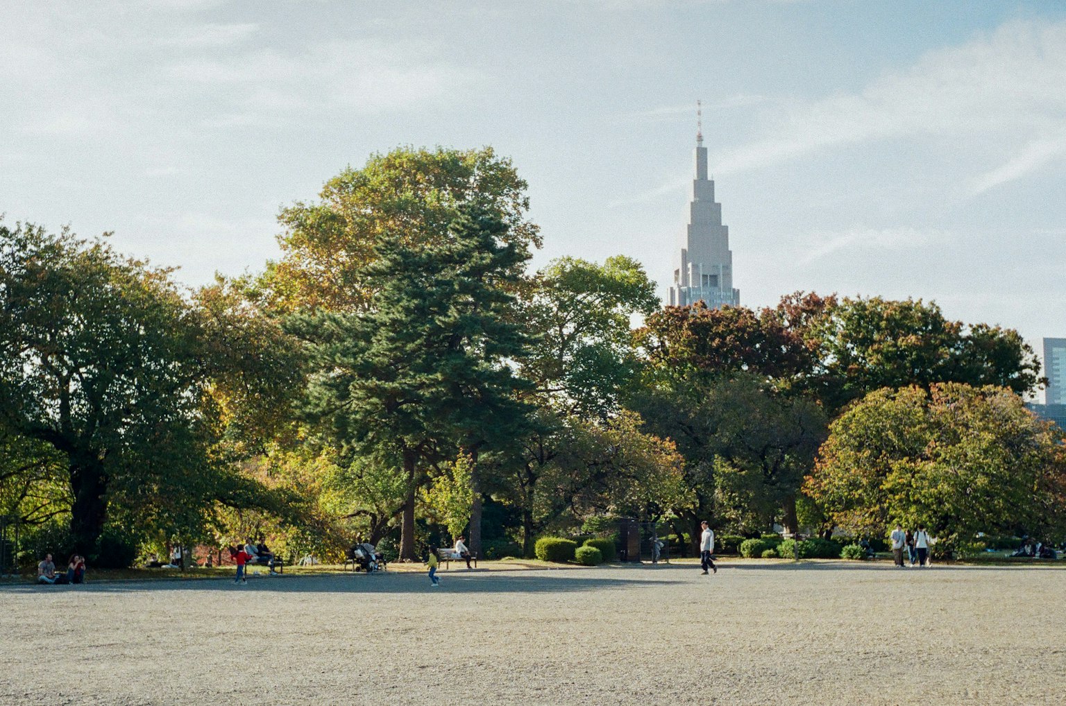 秋季公園景色，綠色樹木和色彩斑斕的葉子，遠處的帝國大廈