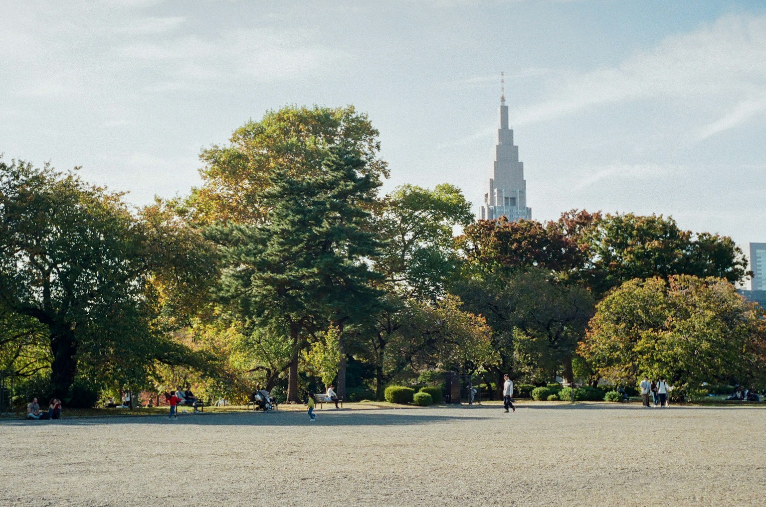 Scène de parc automnal avec des arbres verts et des feuilles colorées, Empire State Building au loin
